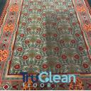 TruClean Oriental and Area Rug Cleaning logo